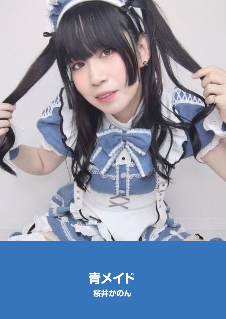 【文庫サイズ写真集】青メイド
