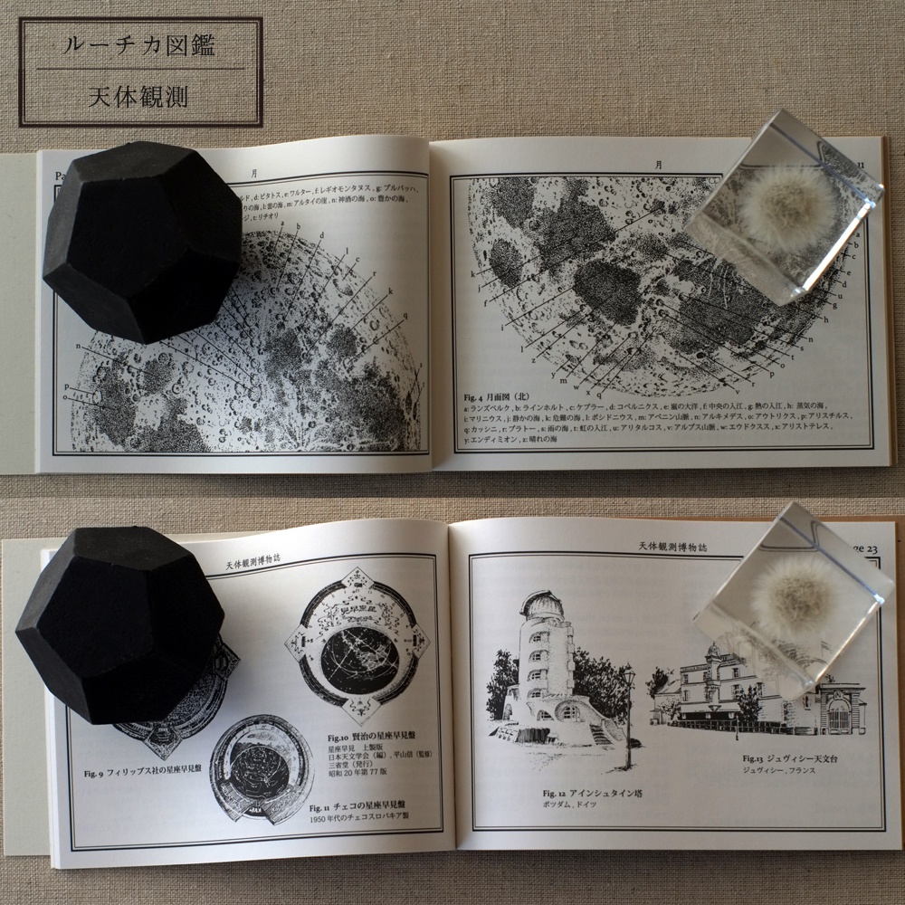 ルーチカ図鑑 / Ruchka Book