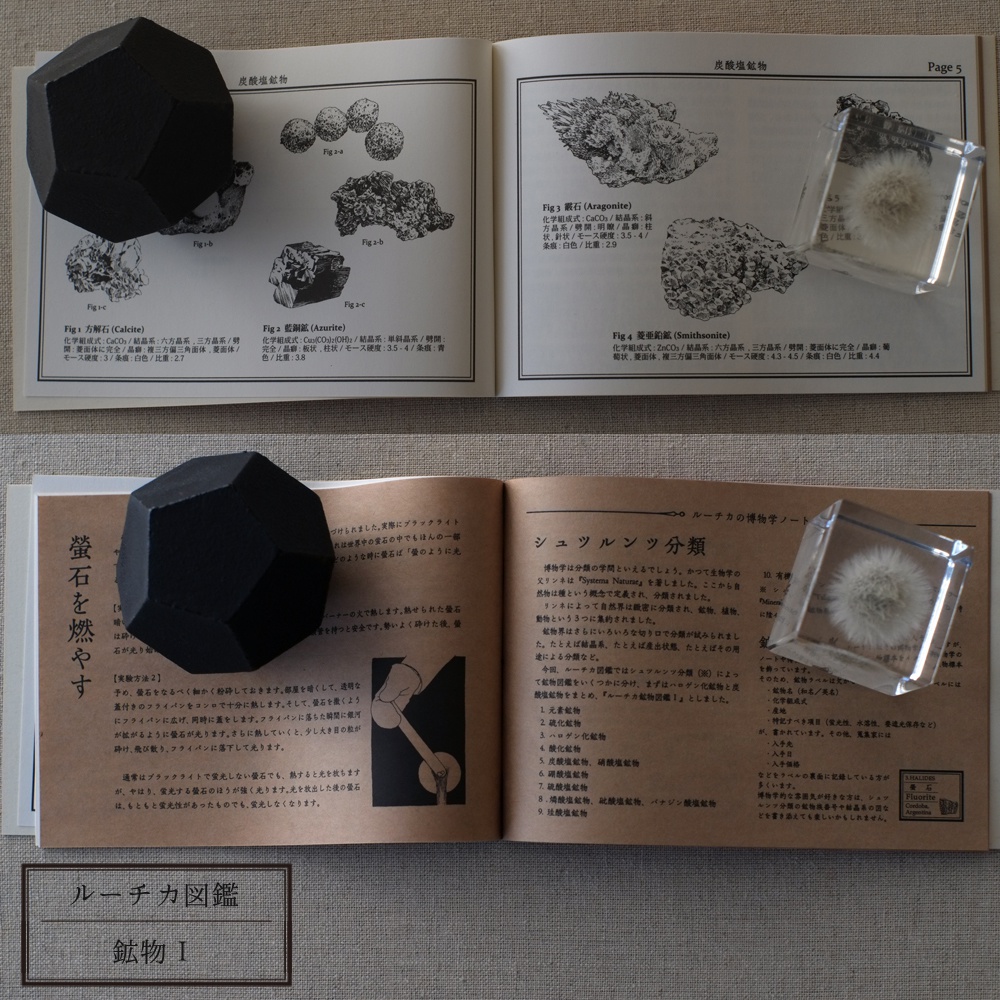 ルーチカ図鑑 / Ruchka Book