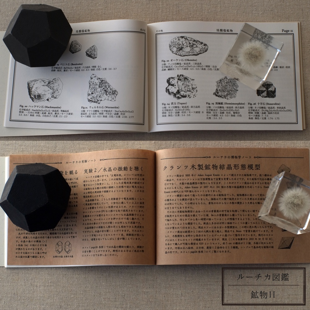 ルーチカ図鑑 / Ruchka Book