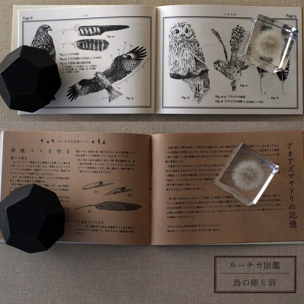 ルーチカ図鑑 / Ruchka Book