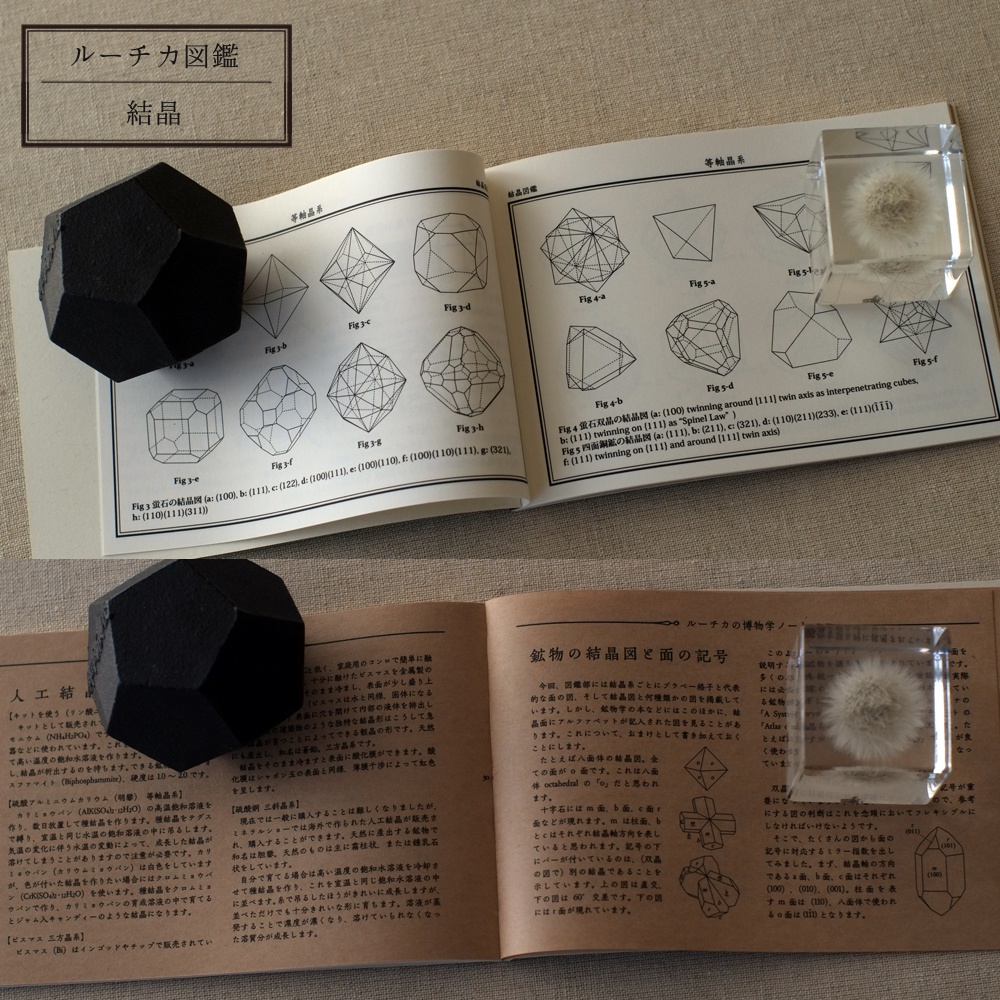 ルーチカ図鑑 / Ruchka Book