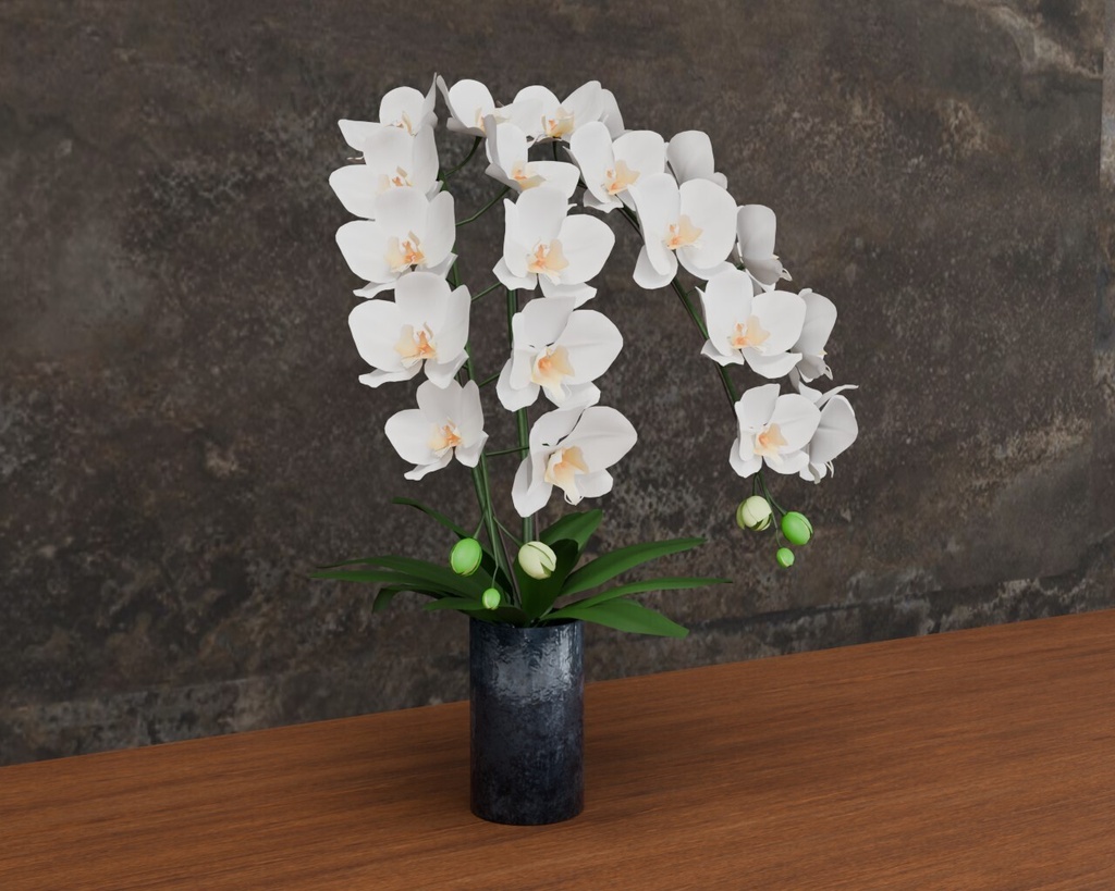 胡蝶蘭の鉢植え VRC対応装飾品 花シリーズ shader2種
