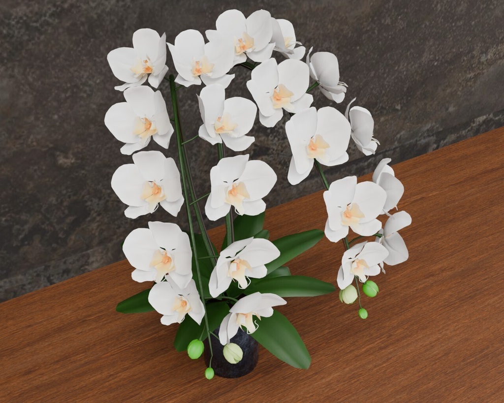 胡蝶蘭の鉢植え VRC対応装飾品 花シリーズ shader2種