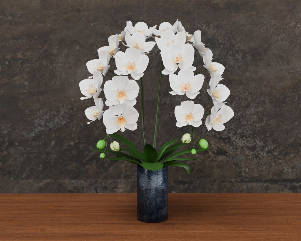 胡蝶蘭の鉢植え　VRC対応装飾品　花シリーズ　shader2種