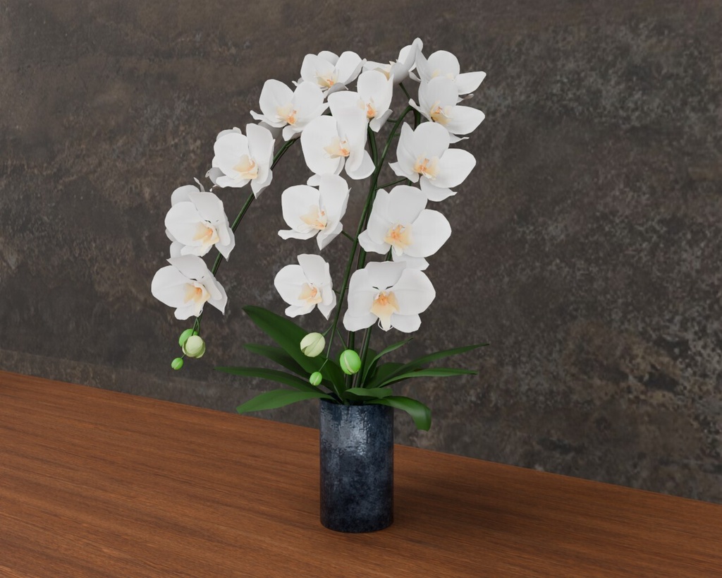 胡蝶蘭の鉢植え VRC対応装飾品 花シリーズ shader2種