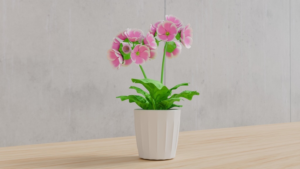 Blenderで作ったプリムラの鉢植え~花シリーズ(ローポリ在り)