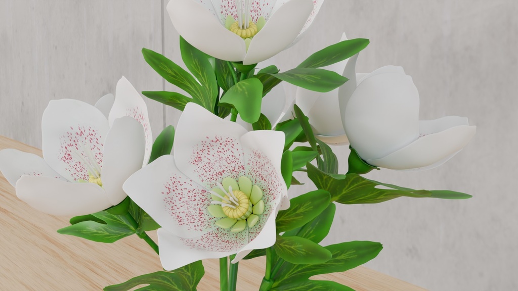 Blenderで作ったクリスマスローズ~花シリーズ(ローポリ在り)