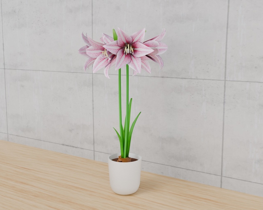 アマリリス VRC対応装飾花~花シリーズ