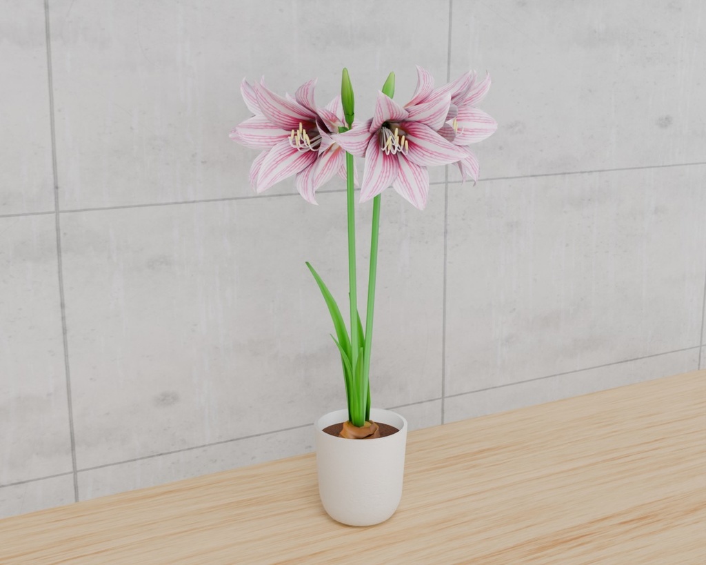 アマリリス VRC対応装飾花~花シリーズ