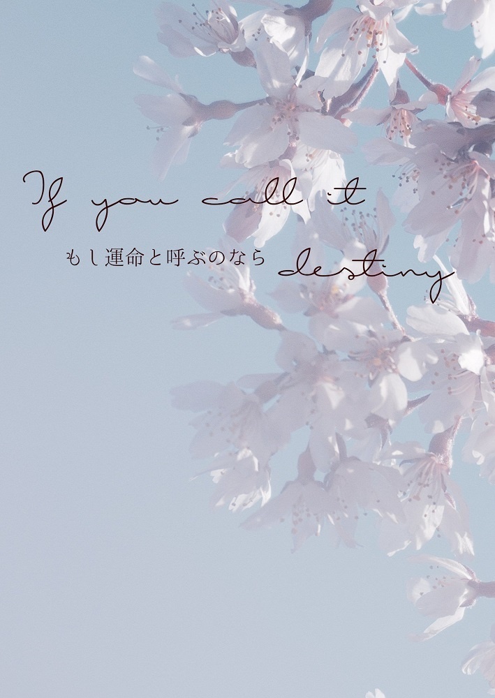 もし運命と呼ぶのなら