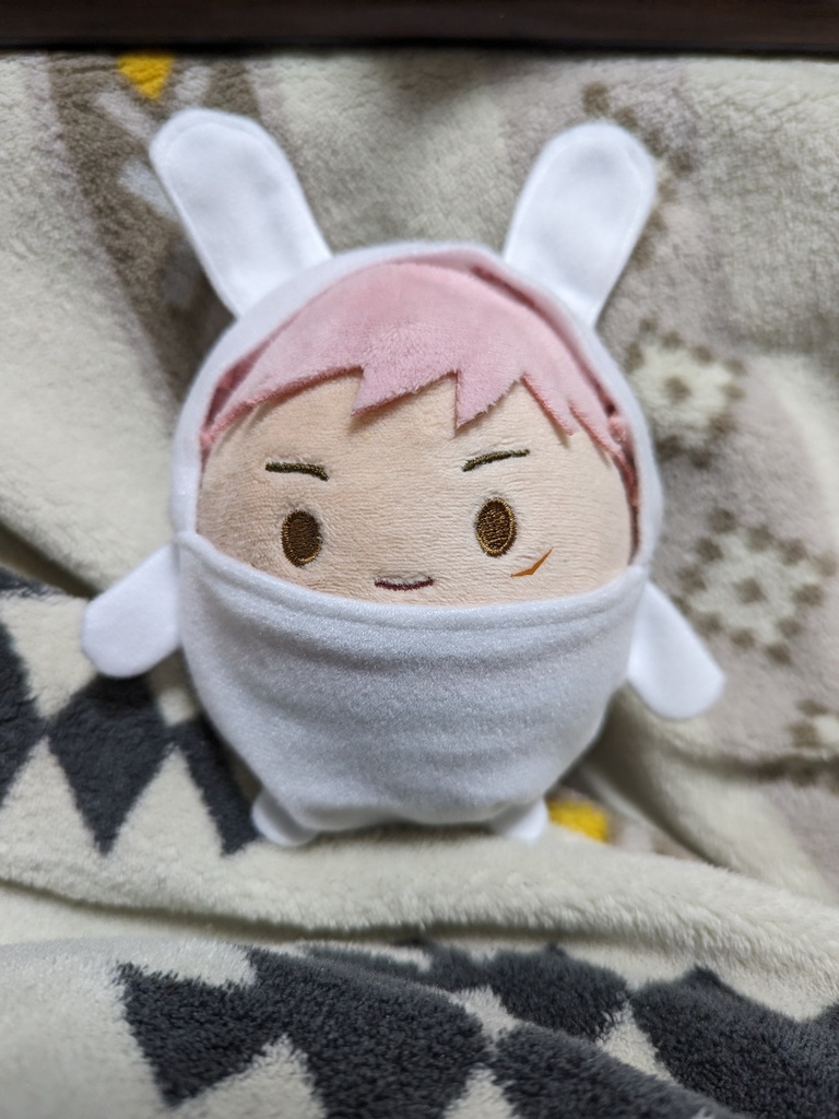 ふわコロりん着せ替えぬいぐるみボアうさ耳着ぐるみぬい服ハンドメイド