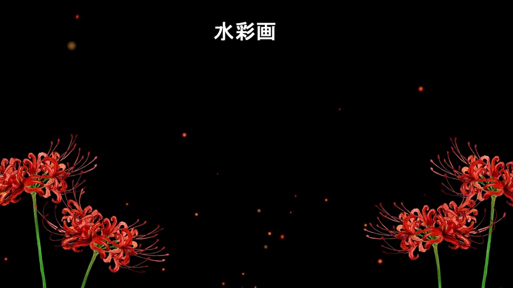 彼岸花が揺れるループ動画