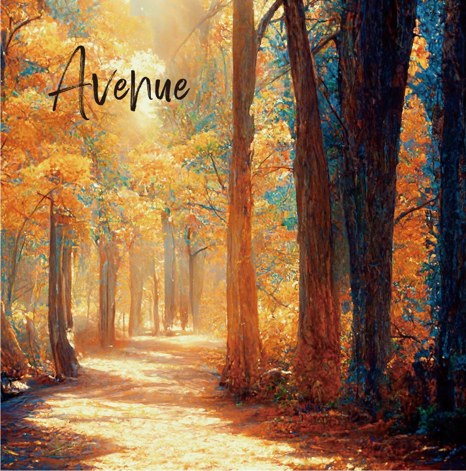 1st mini album - Avenue