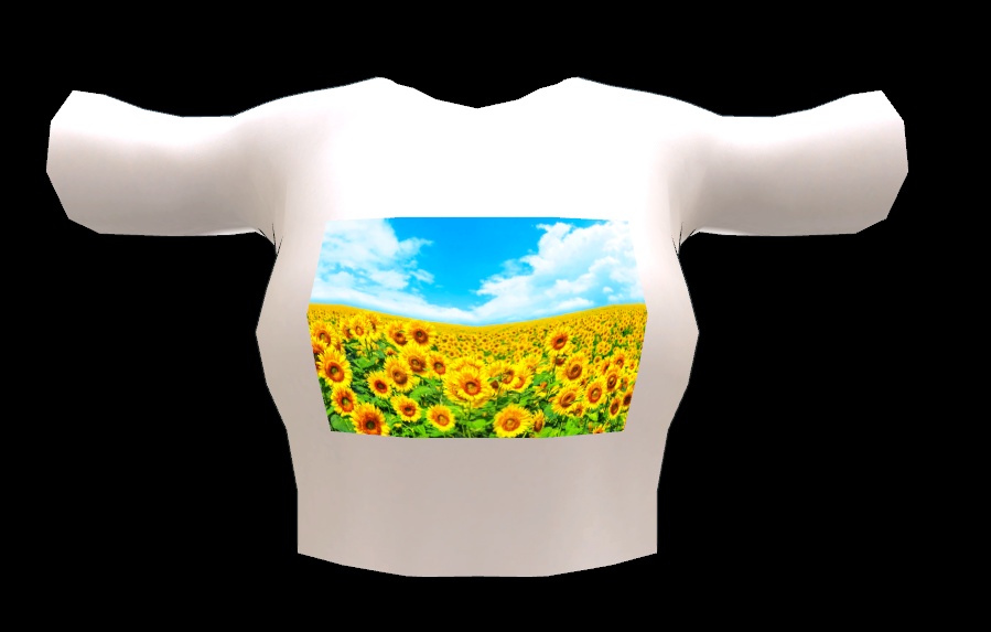 薄荷ちゃん衣装 シンプル夏服1