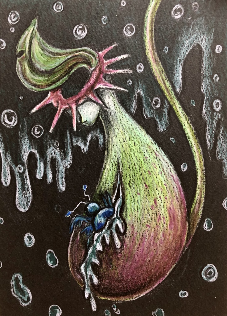 ウツボカズラと虫さん