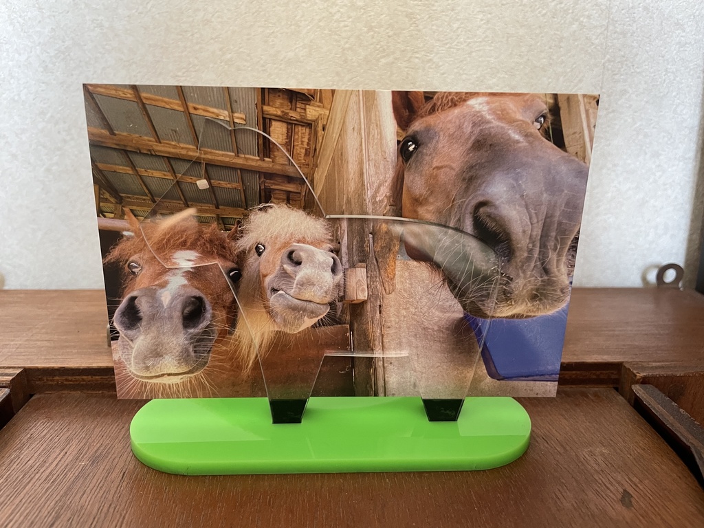 青毛クリアスタンド