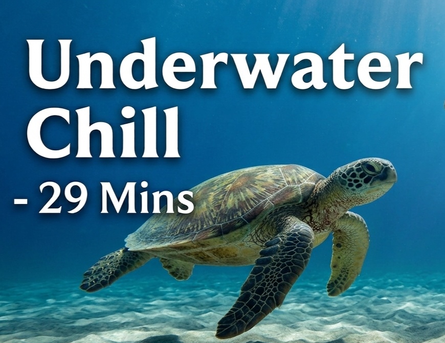 Underwater Chill - 29 Mins