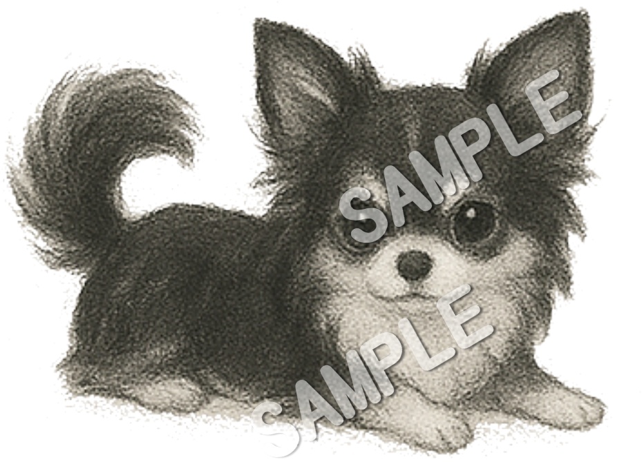 可愛いチワワのClipArt 10点