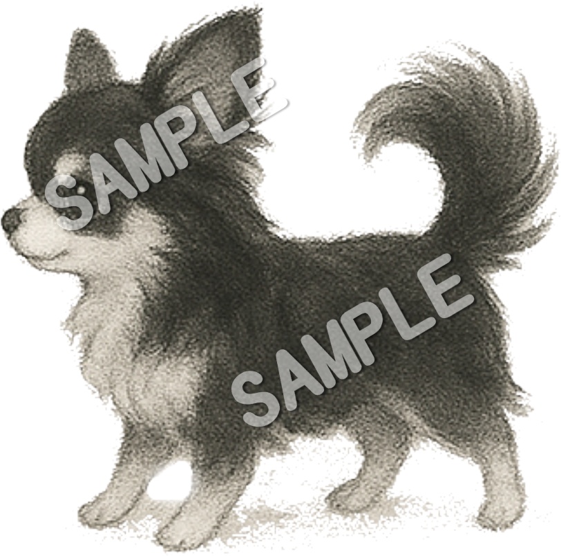 可愛いチワワのClipArt 10点