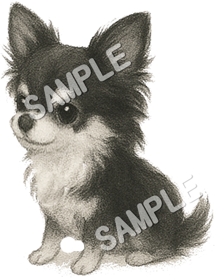 可愛いチワワのClipArt 10点