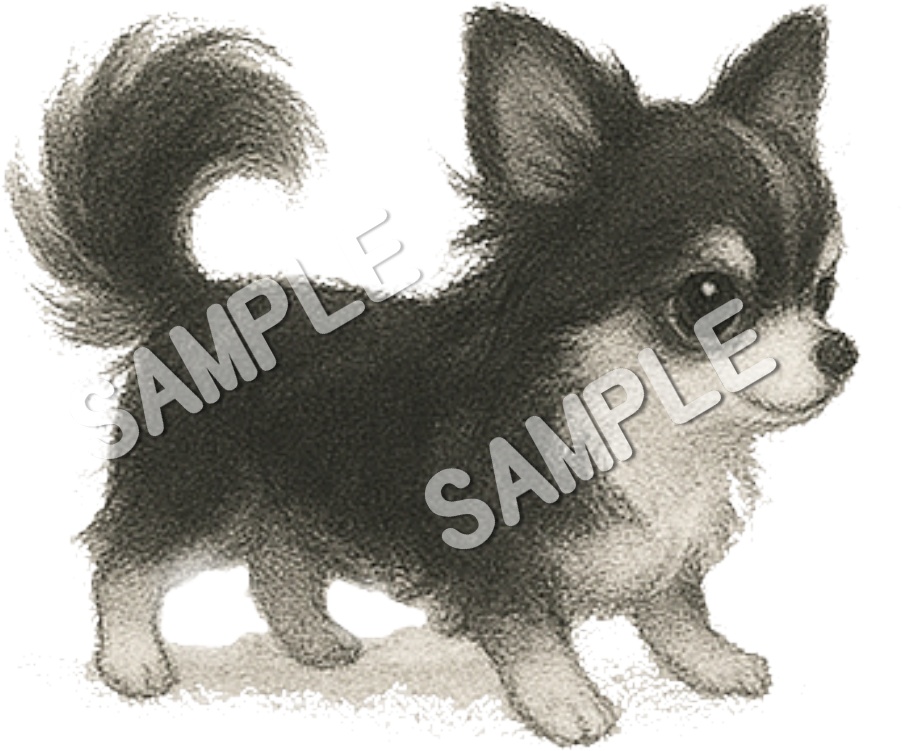 可愛いチワワのClipArt 10点