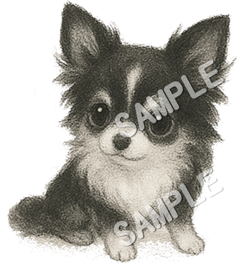可愛いチワワのClipArt 10点