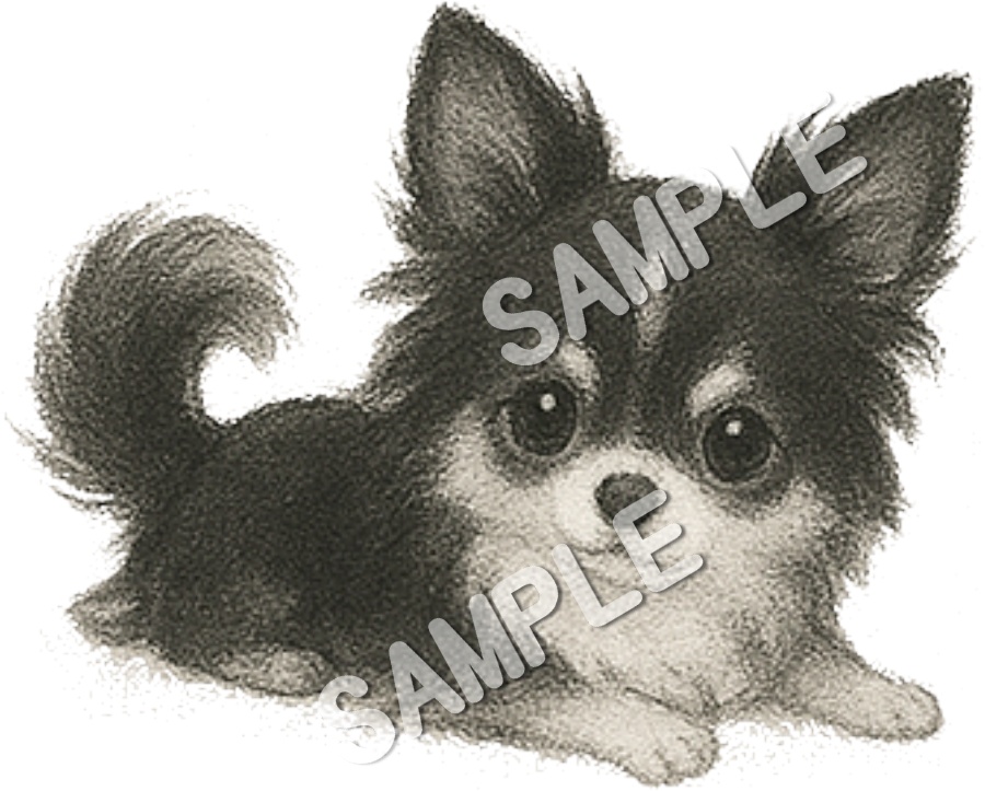 可愛いチワワのClipArt 10点