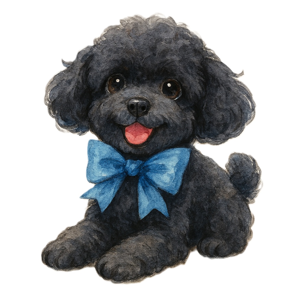 ふわもこトイプードルのClipArt 12点