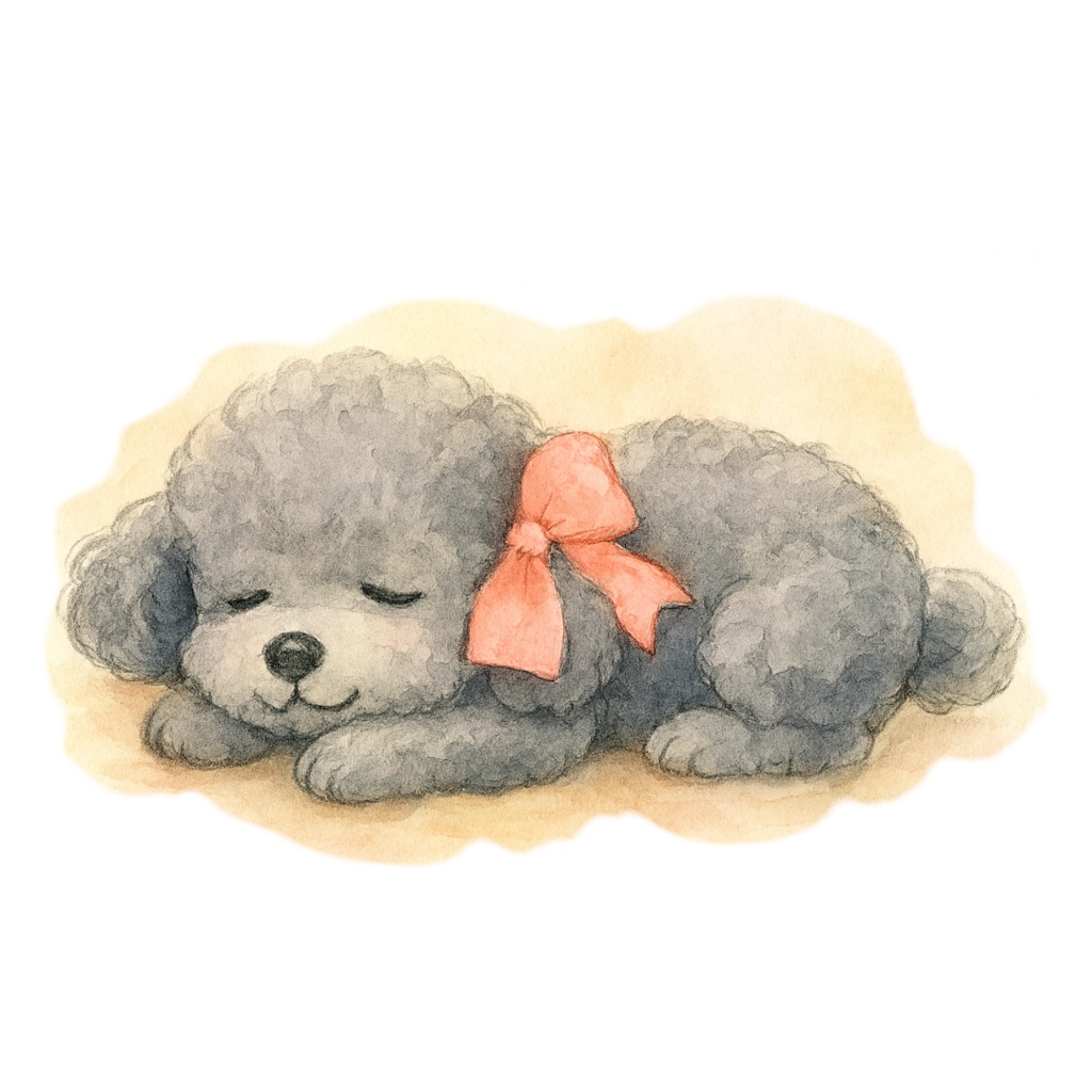 ふわもこトイプードルのClipArt 12点