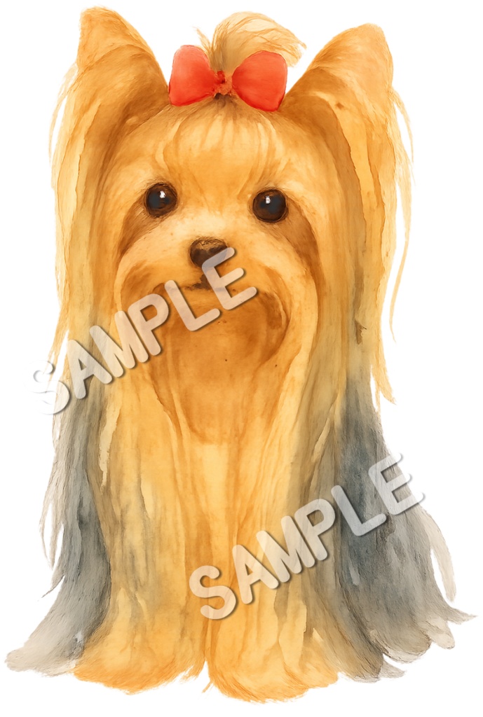 ロングコートヨークシャーテリアのClipArt13点