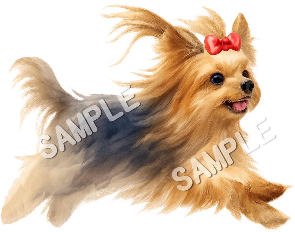 ロングコートヨークシャーテリアのClipArt13点