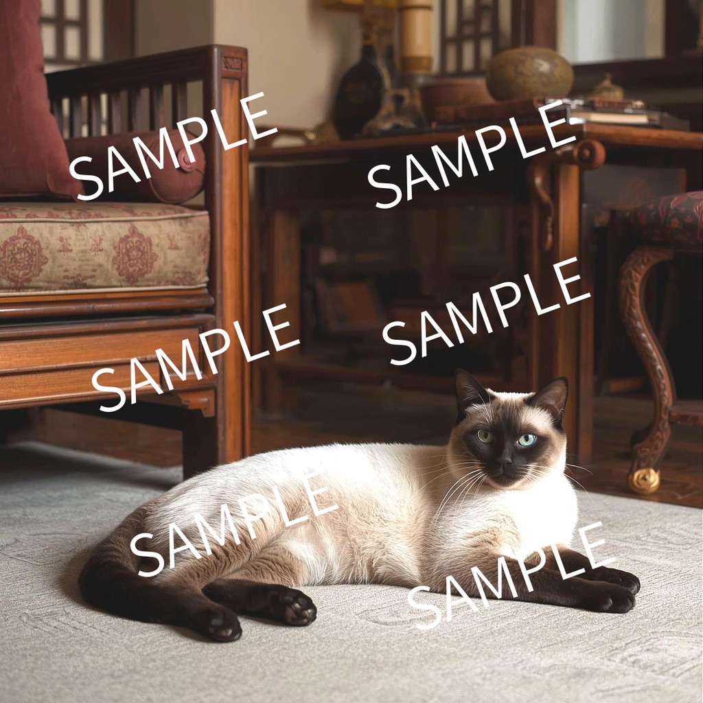 人気猫種15シリーズ – しなやかで可愛い猫たちのイラスト素材集