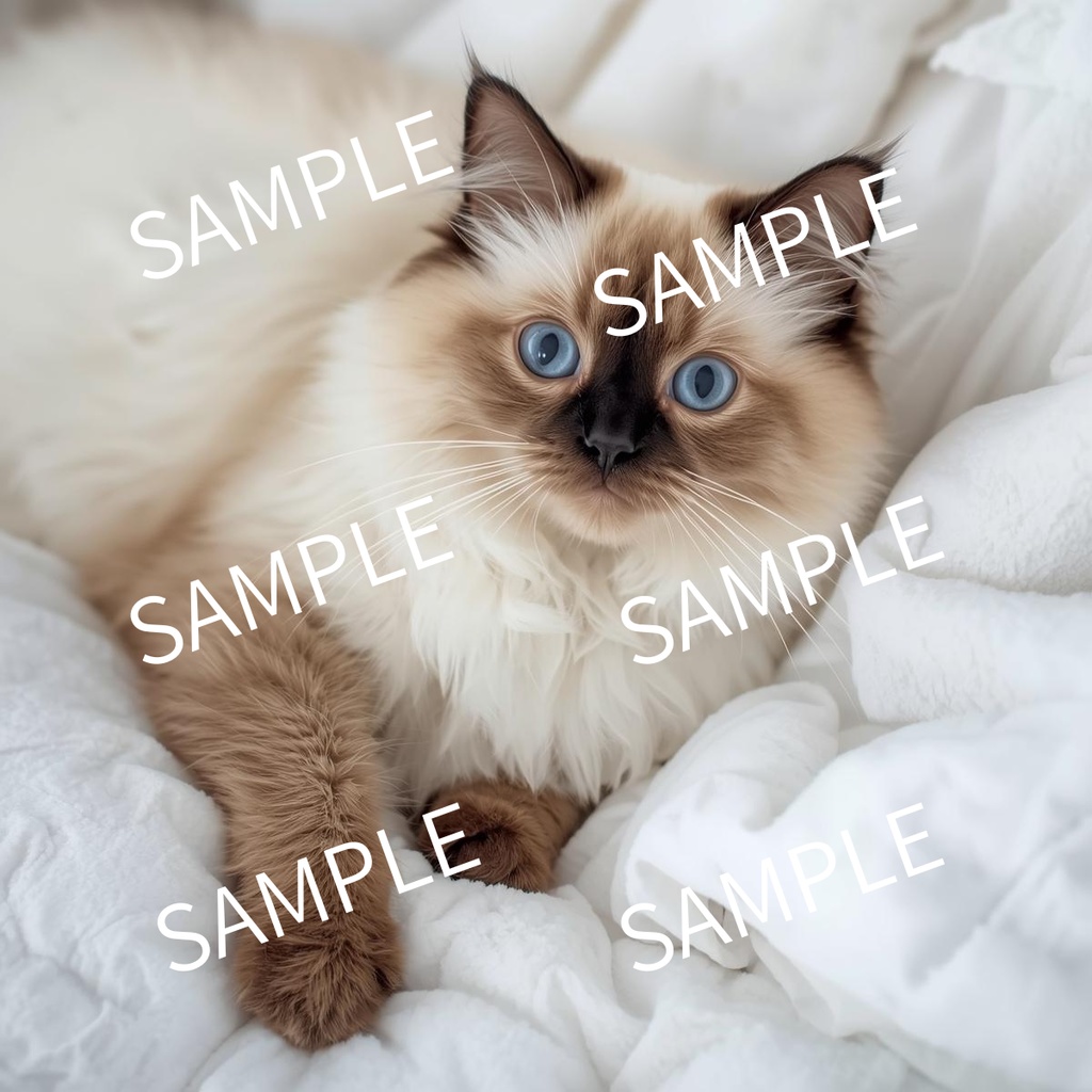 人気猫種15シリーズ – しなやかで可愛い猫たちのイラスト素材集