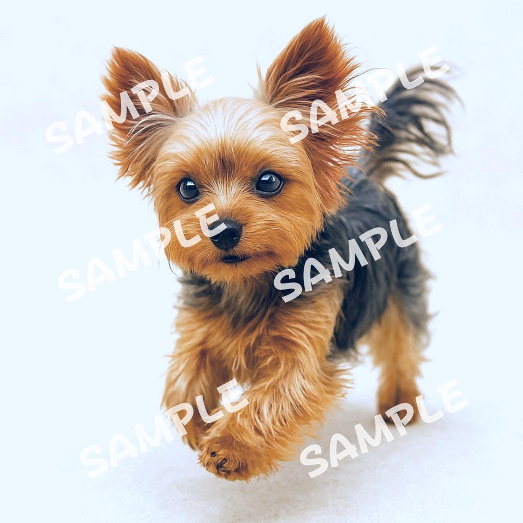ヨークシャーテリアの可愛いポーズ10点イラスト素材集