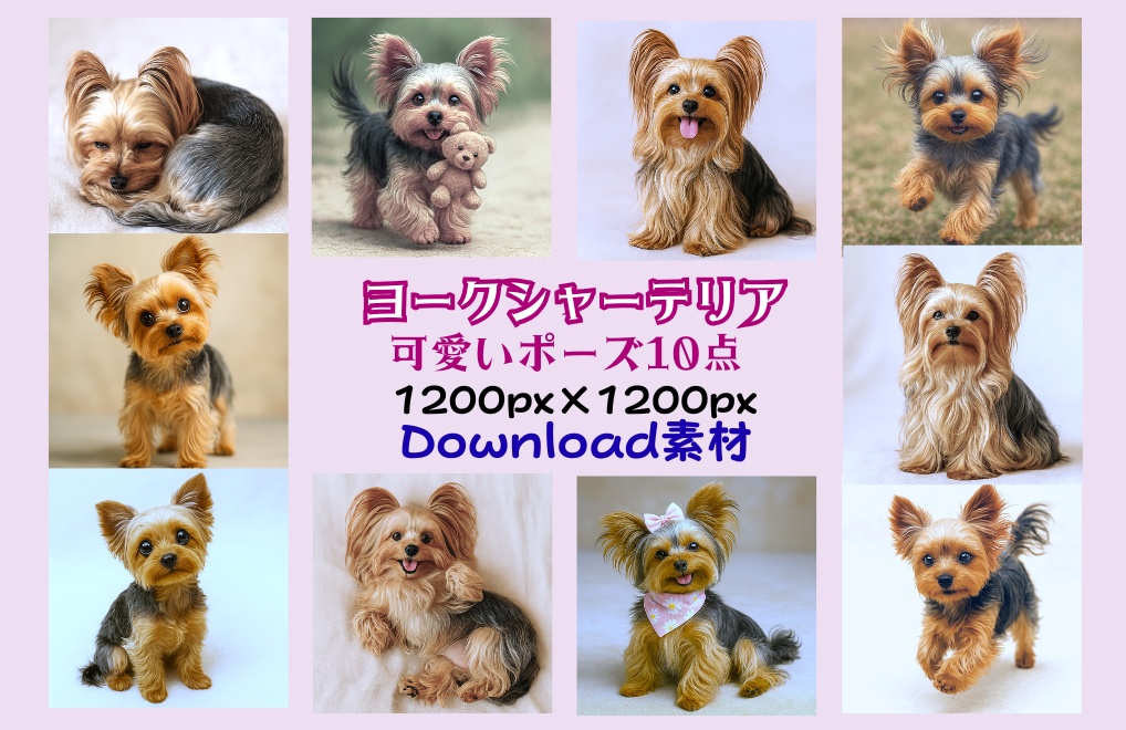 ヨークシャーテリアの可愛いポーズ10点イラスト素材集
