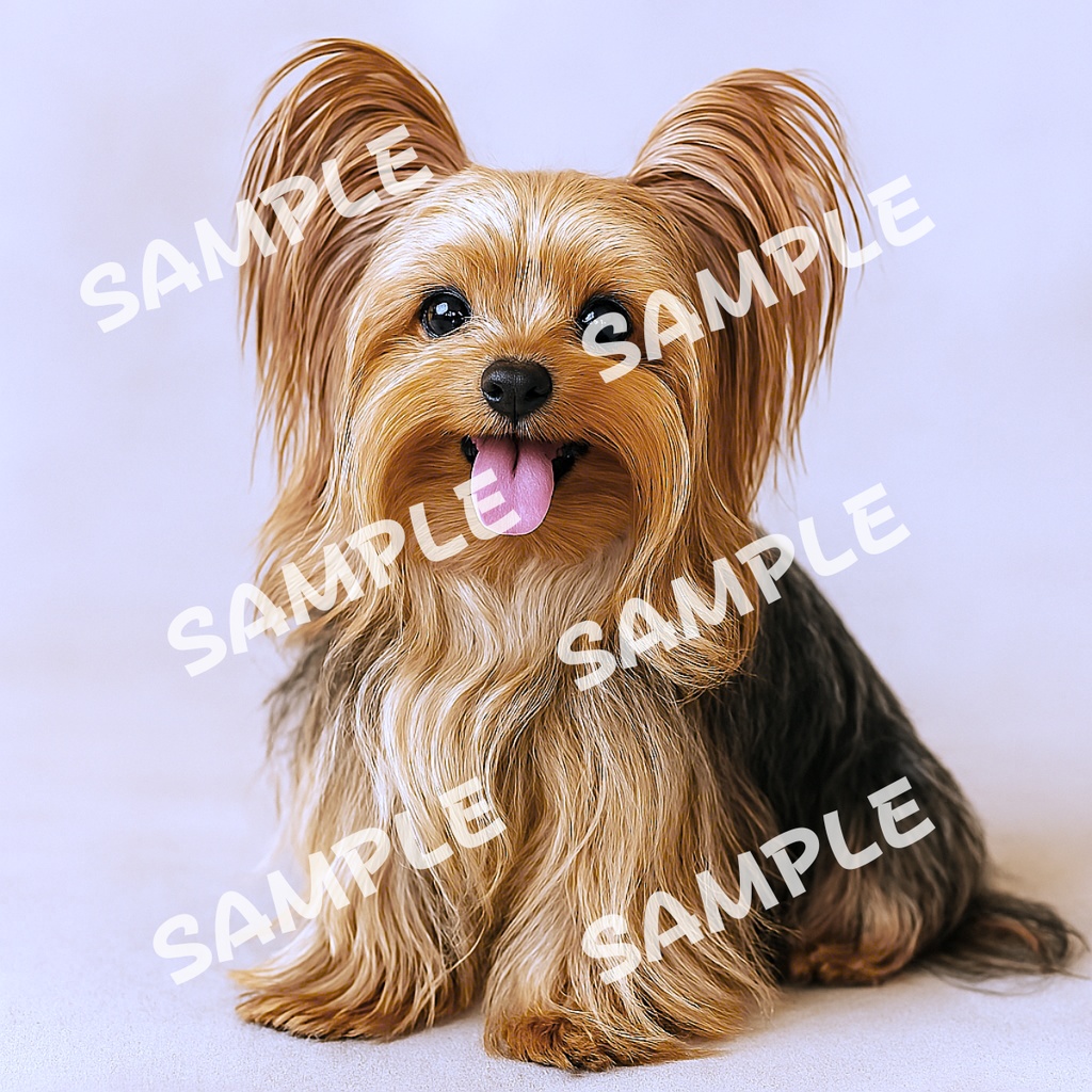 ヨークシャーテリアの可愛いポーズ10点イラスト素材集