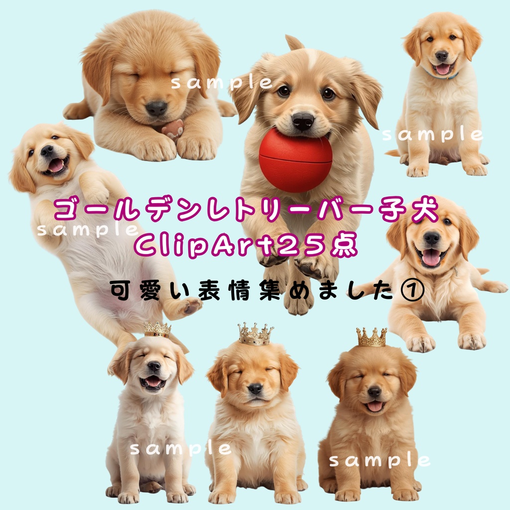 ゴールデンレトリーバー子犬ClipArt25点 Download商品