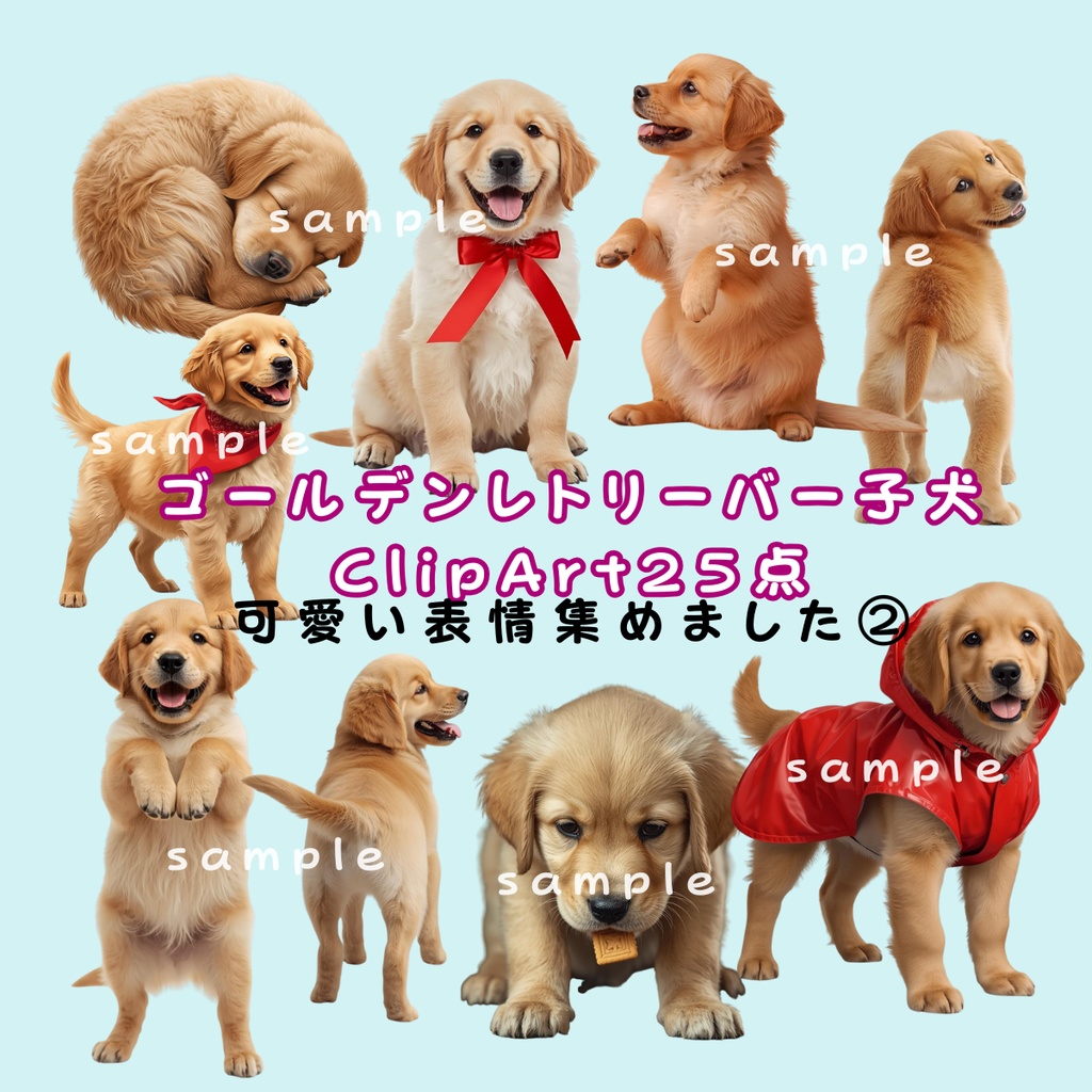 ゴールデンレトリーバー子犬ClipArt25点 Download商品