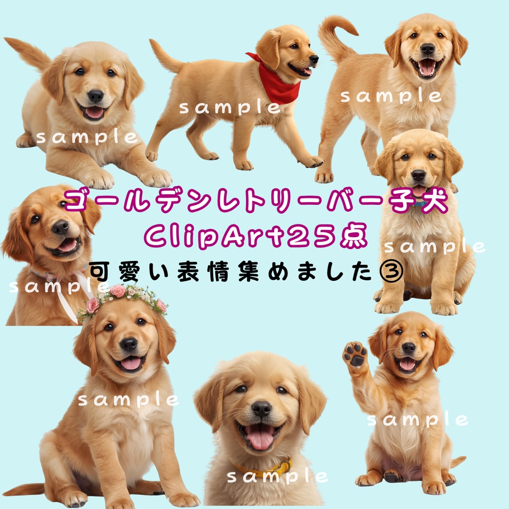 ゴールデンレトリーバー子犬ClipArt25点 Download商品