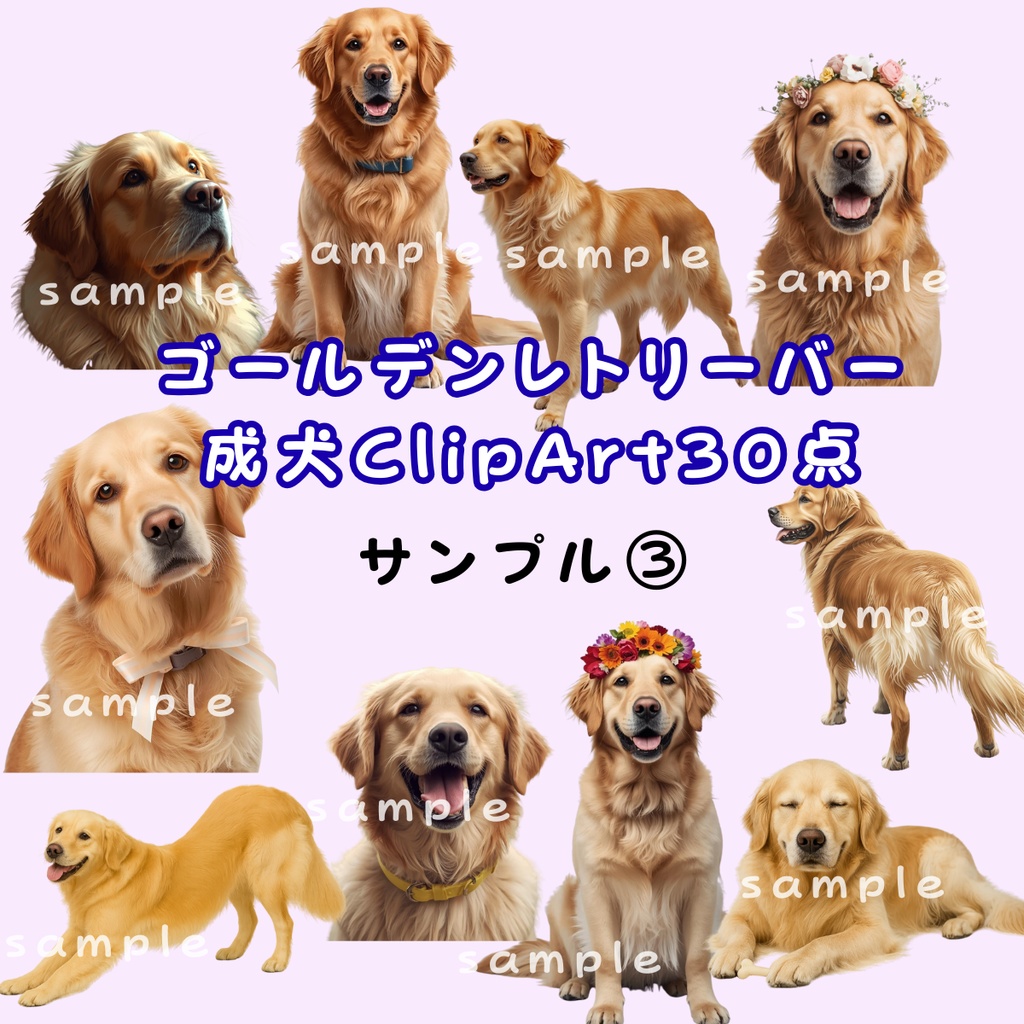 ゴールデンレトリーバー成犬ClipArt30点 Download商品