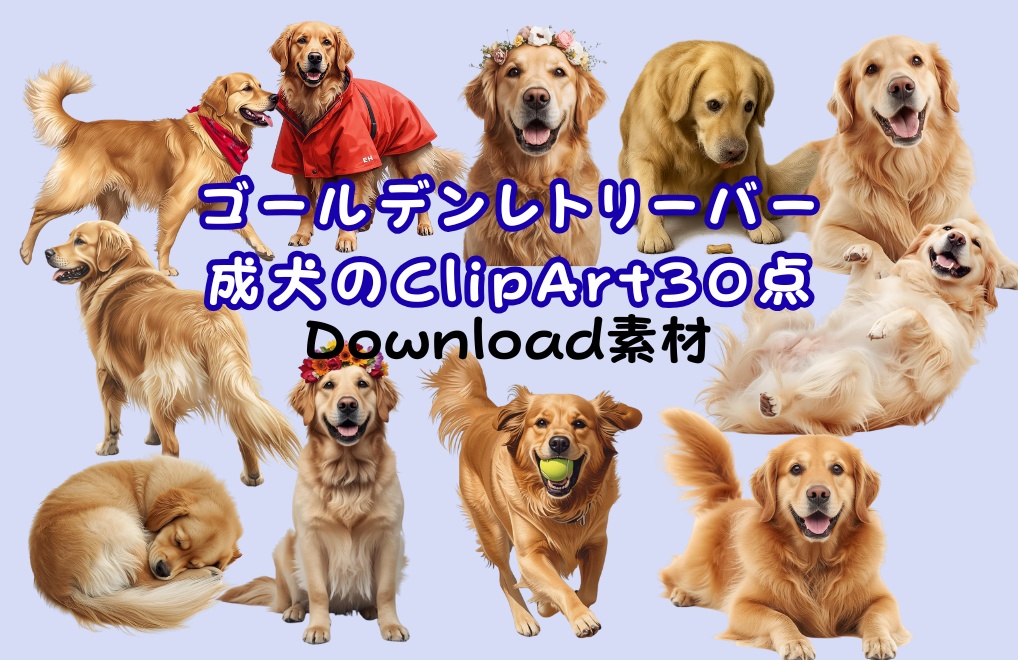 ゴールデンレトリーバー成犬ClipArt30点 Download商品