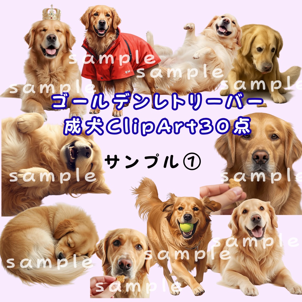 ゴールデンレトリーバー成犬ClipArt30点 Download商品