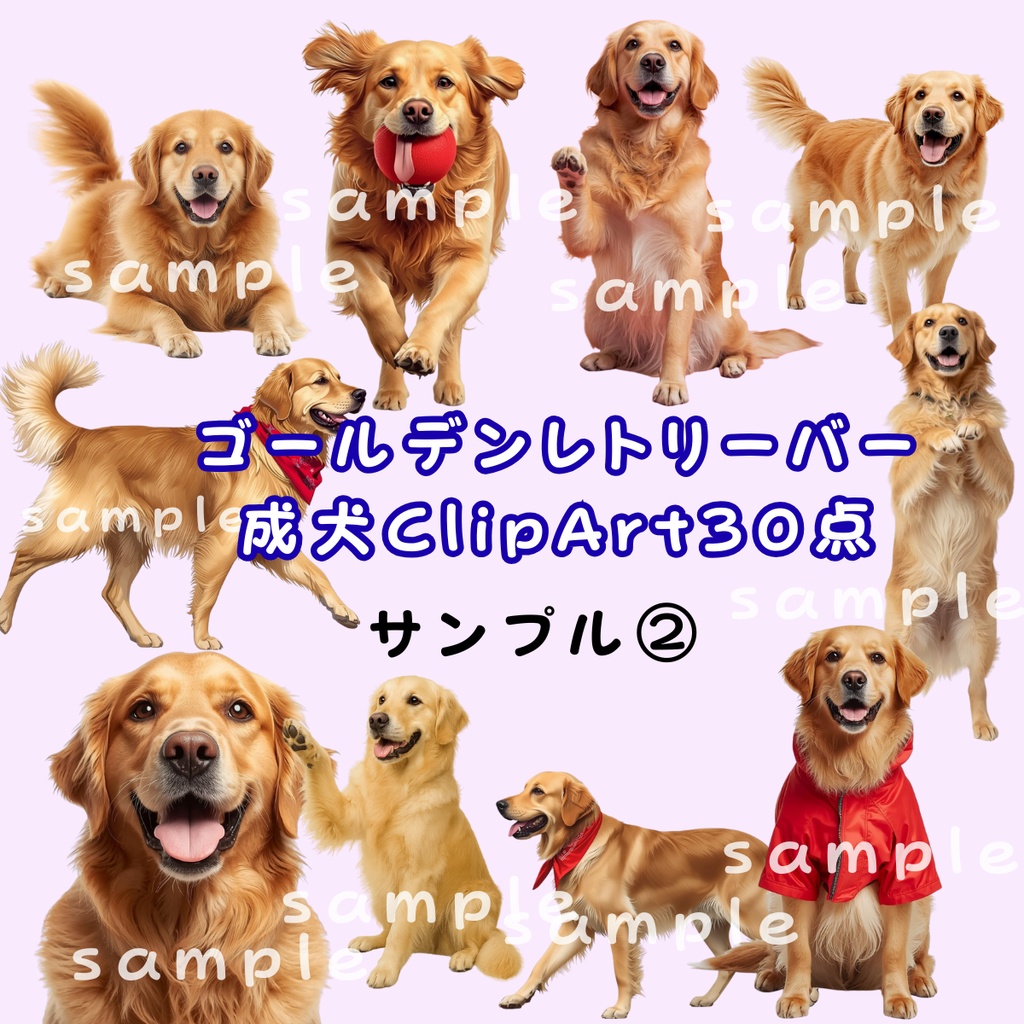 ゴールデンレトリーバー成犬ClipArt30点 Download商品