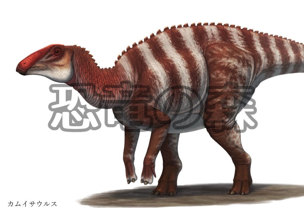 カムイサウルスイラスト高解像度版