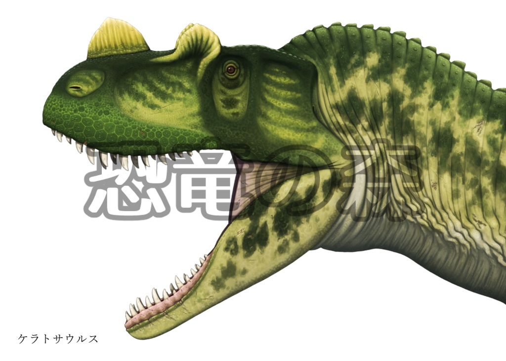 ケラトサウルスイラスト高解像度版