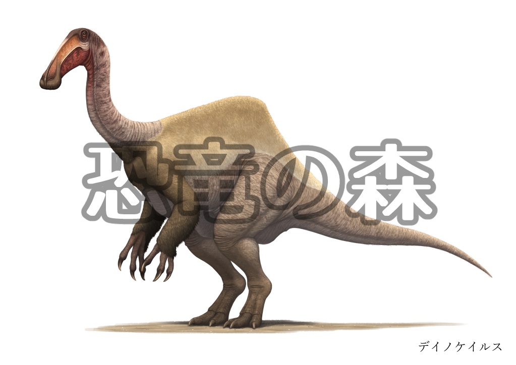 デイノケイルスイラスト高解像度版