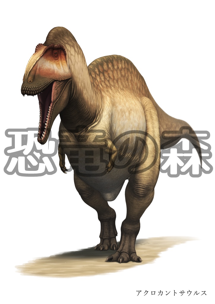 アクロカントサウルスイラスト高解像度版