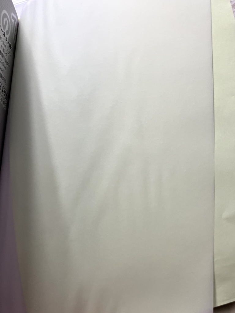【エッセイ漫画】映画を観たので行ってきた