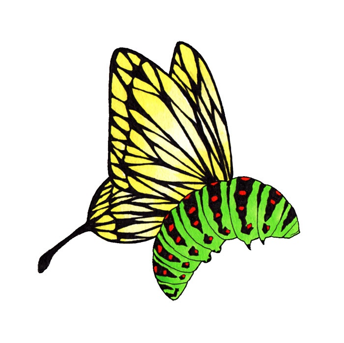 いもむしアクキー